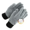 chemicalworkz Allrounder Microfiber Mitt Grau Handschuh (1 Paar)